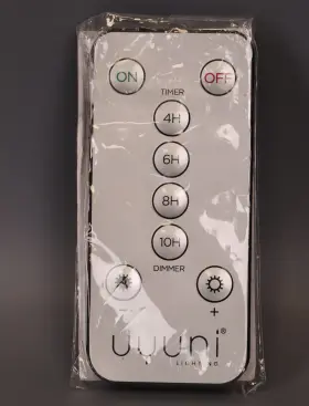 4034520 Raz Imports 048893182731 Multi Function Remote Control